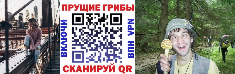 Псилоцибиновые грибы GOLDEN TEACHER  Чапаевск 